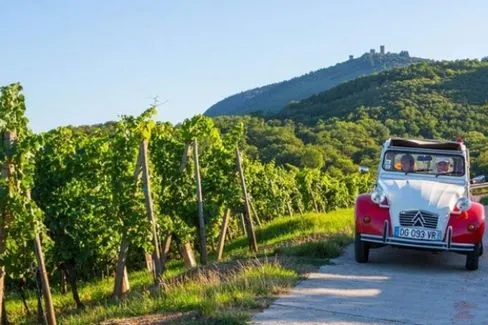 Alsace Rosenberg Riesling - 2022 - Domaine Barmès-Buecher