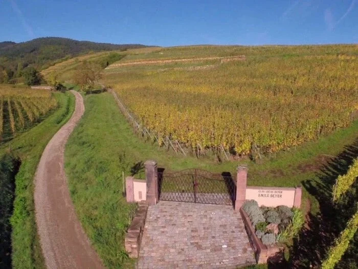 Alsace Riesling Lieu Dit Saint Jacques - 2016 - Domaine Emile Beyer