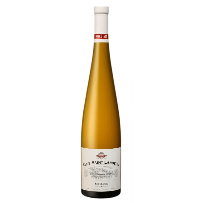 Alsace Grand Cru Vorbourg Riesling Clos Saint Landelin Monopole - 2016 - Domaine du Clos Saint Landelin