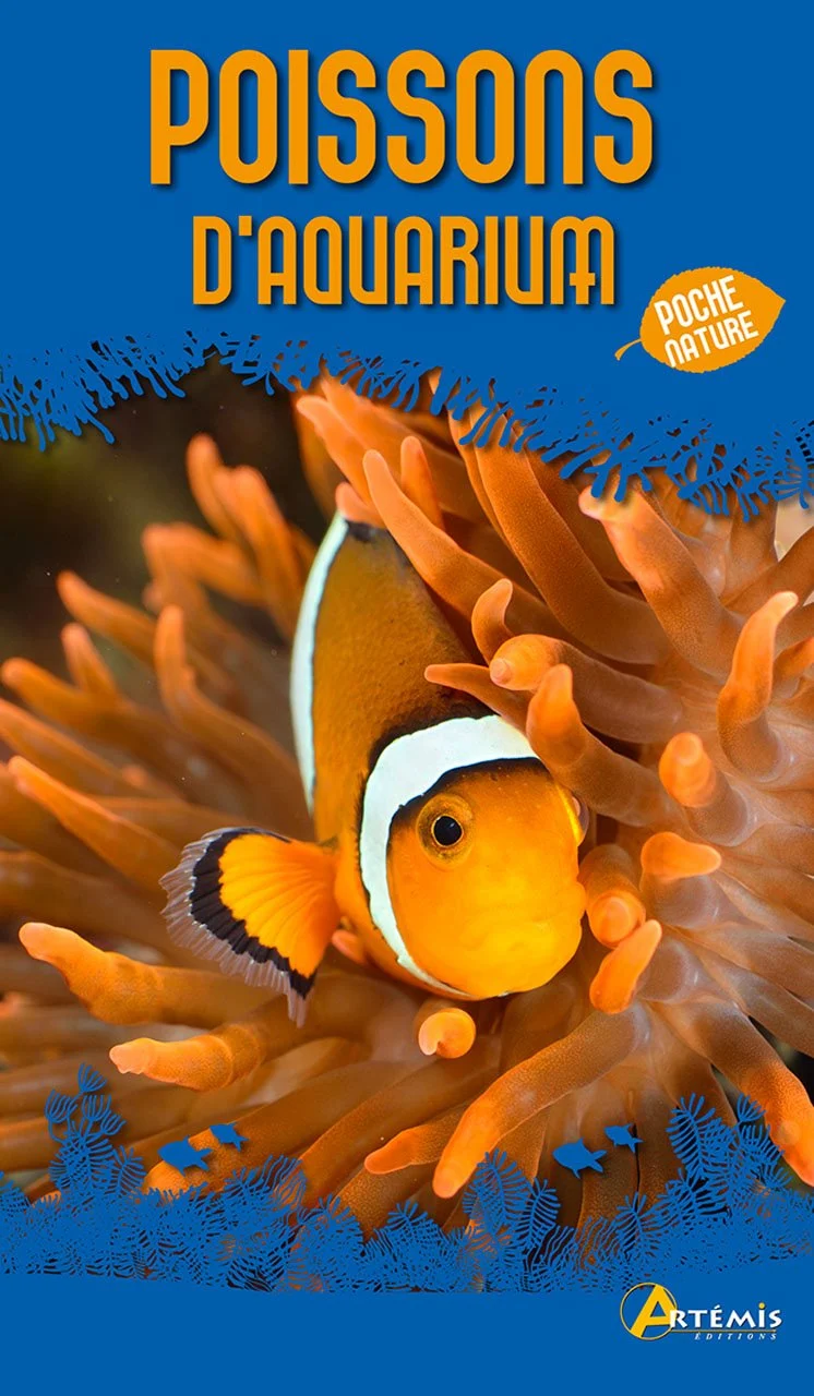 Poissons d'aquarium