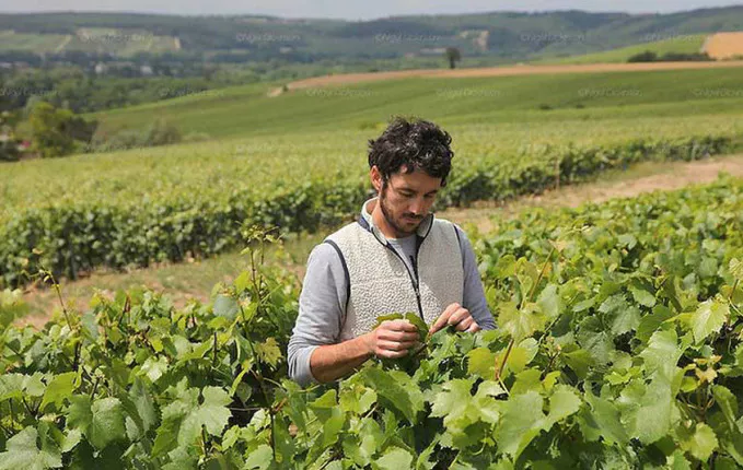 Champagne Côtes de Val Vilaine R22 - Domaine Roses de Jeanne