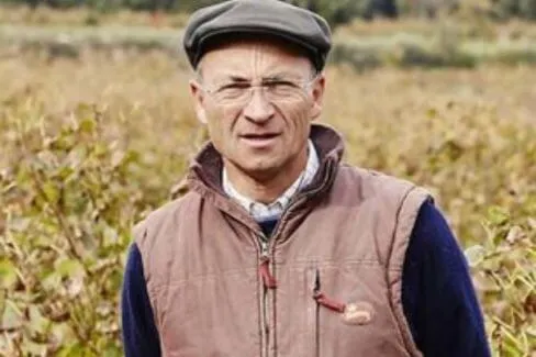 Châteauneuf-du-Pape - 2013 - Pignan