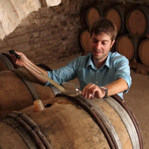 Magnum Chablis 1er Cru Butteaux Blanc - 2020 - Domaine Pattes-Loup