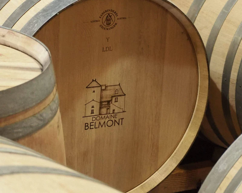 Côtes du Lot Montaigne - 2016 - Domaine Belmont