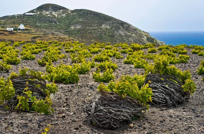 Mavrotragano - 2020 - Domaine Hatzidakis