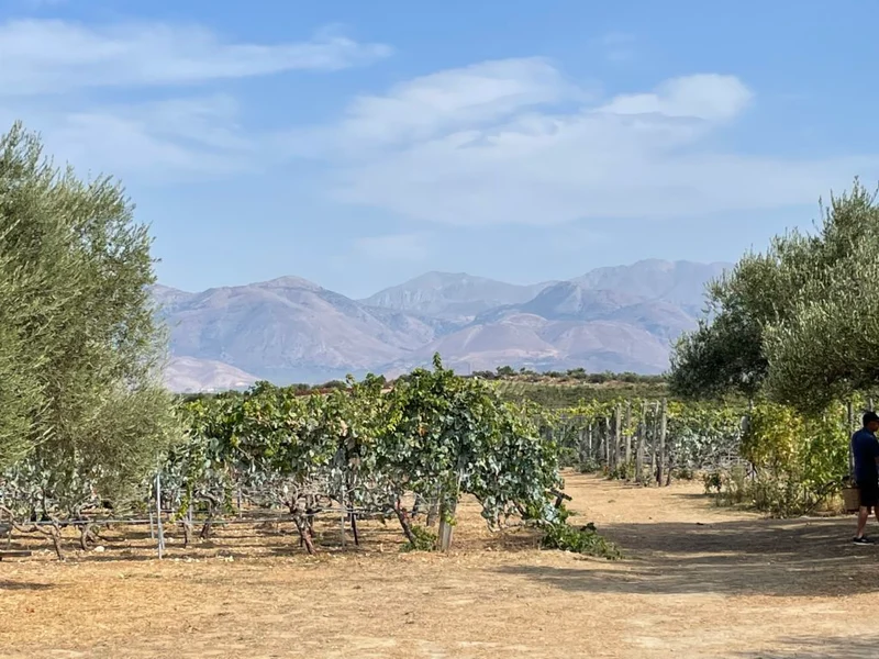 Liatiko-Aggelis - 2021 - Domaine Lyrarakis
