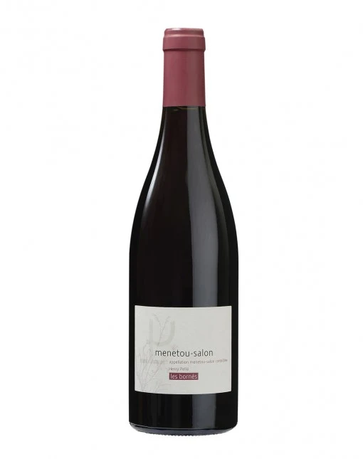 Domaine Pellé - AOP Menetou-Salon - Rouge - 2019