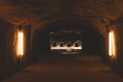 Saumur-Champigny Les Poyeux - 2019 - Clos Rougeard