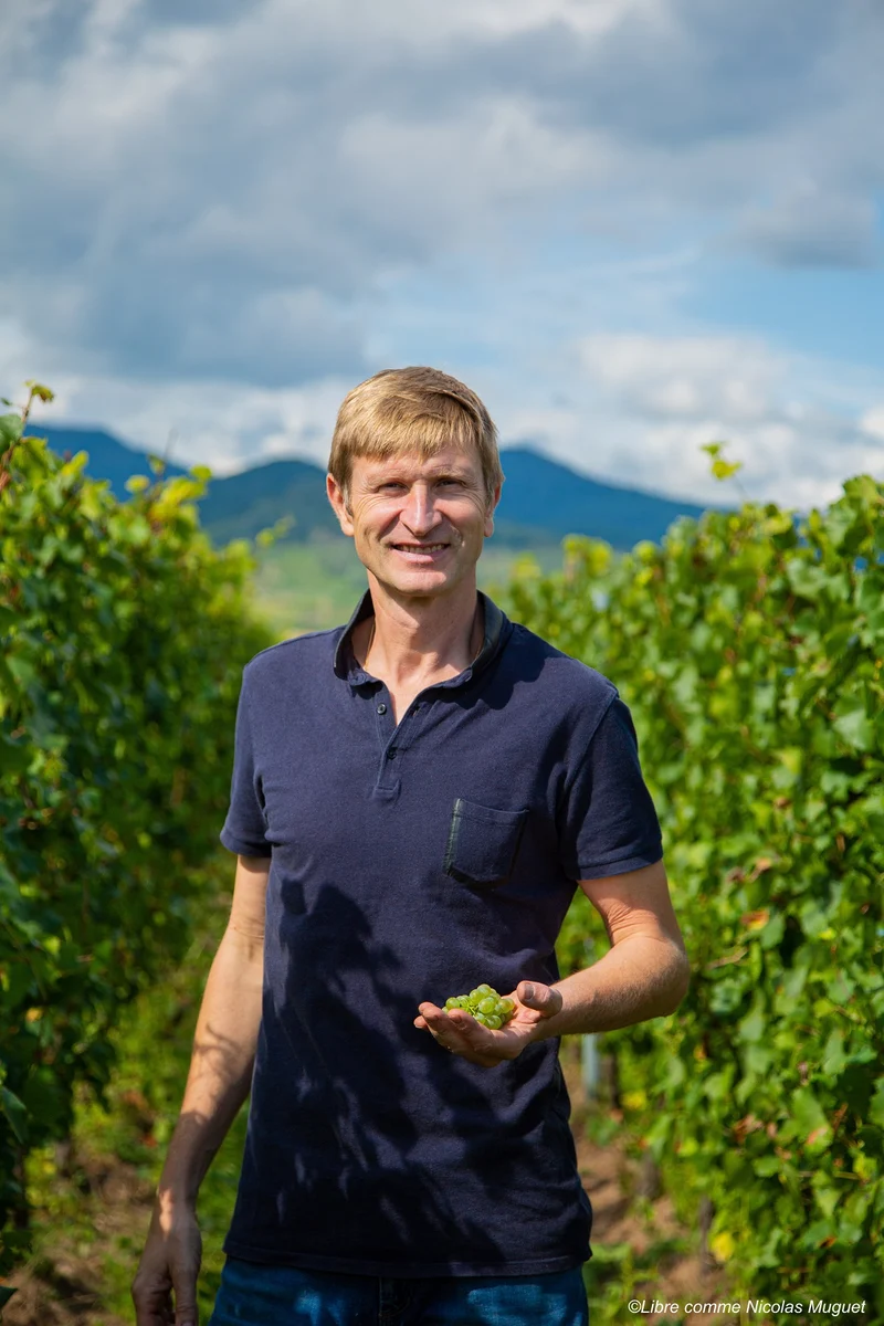 Alsace Grand Cru Riesling Pfersigberg Hertacker - 2022 - Domaine Paul Ginglinger