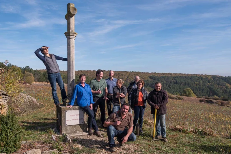Savigny-lès-Beaune Aux Grands Liards - 2021 - Domaine Simon Bize