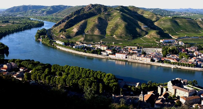 Saint-Joseph - 2023 - Domaine Bernard Gripa