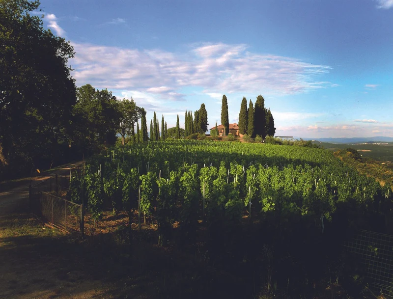 Toscana Carnasciale - 2017 - Podere Il Carnasciale