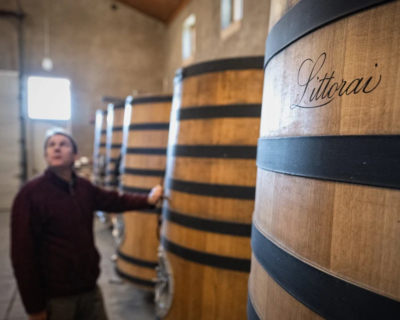 Sonoma Coast Pinot Noir - 2019 - Littorai Wines