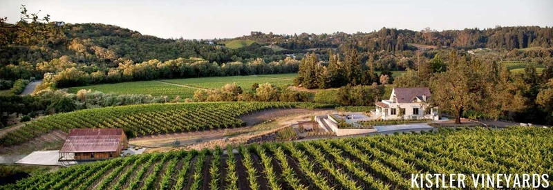 Russian River Valley Pinot Noir - 2021 - Kistler Vineyard
