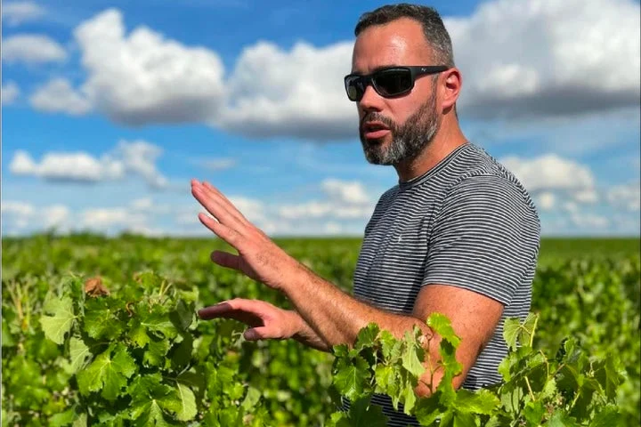 Pouilly-Fumé Caillottes - 2021 - Domaine du Bouchot