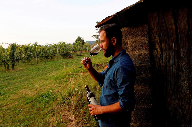 Madiran les vieilles vignes - 2017 - Domaine Capmartin