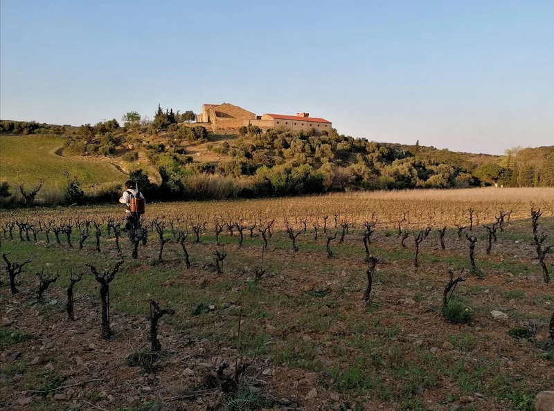 Côtes Catalanes - 2017 - Domaine de l'Horizon