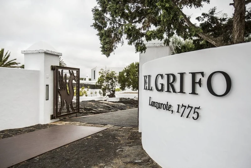 Vino de Ana Moscatel en Solera de 1881 - NM - Bodega El Grifo