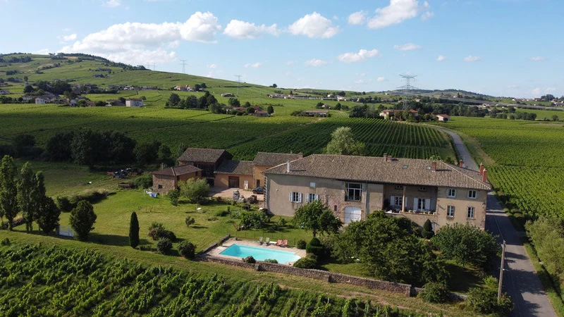 Juliénas Vayolette - 2016 - Domaine David Beaupère