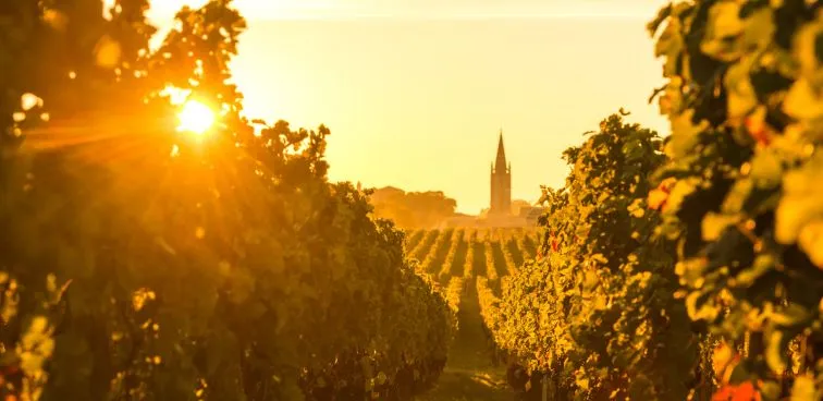 La Gravette de Vieux Château Certan - Pomerol - 2013 - Château Certan de May
