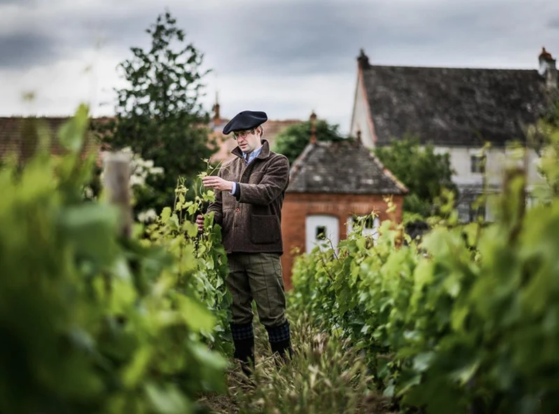 Mazis-Chambertin Grand Cru - 2020 - Armand Heitz