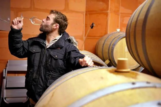 Vin de France Sec - 2019 - Les Jardins de Babylone