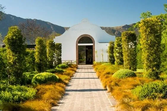 Swartland Old Vines - 2019 - Mullineux & Leeu Family Wines