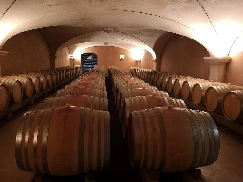 Savigny-les-Beaune - 2011 - Domaine Anne Gros