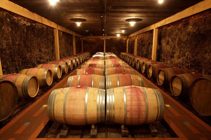 Magnum Pays de Méditerranée Le Grand Rouge - 2016 - Château Revelette