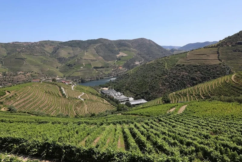 Porto blanc 20 ans - NM - Quinta Santa Eufemia