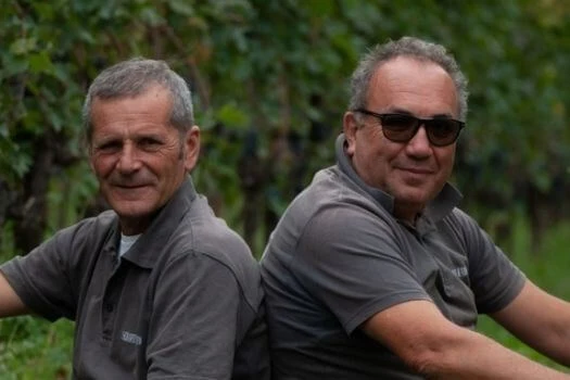 Phigaia "NV" - Serafini et Viodotto - Assemblage de plusieurs millésimes - Domaine Serafini et Vidotto
