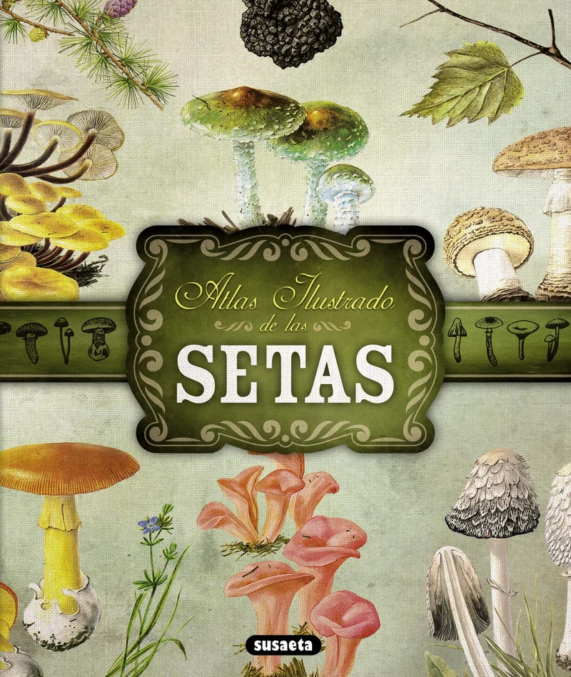 Atlas ilustrado de las setas/ Illustrated Atlas of mushrooms