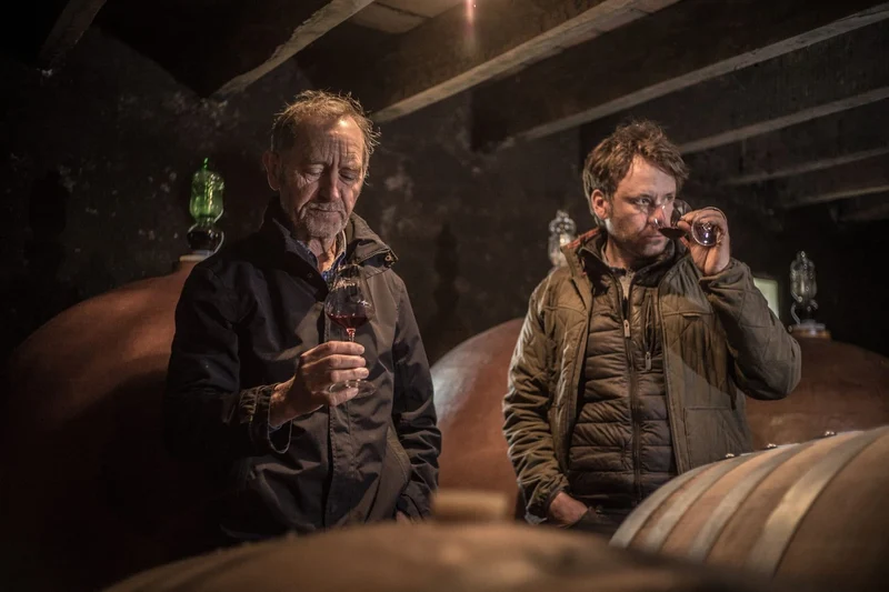 Saint Nicolas de Bourgueil Les Gravilices - 2015 - Domaine Amirault