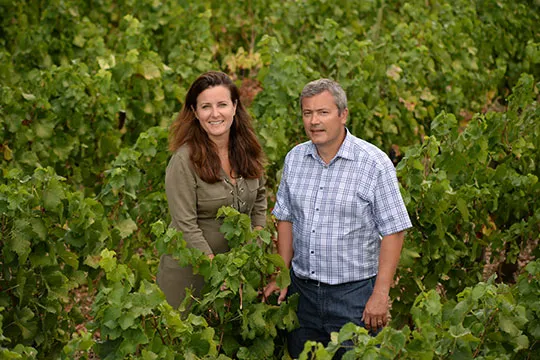 Morey-Saint-Denis - 2023 - Domaine Taupenot-Merme