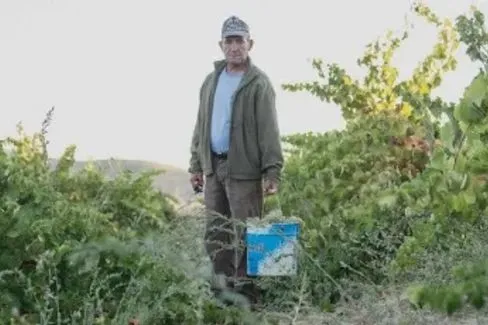 Douro Xisto Cru - 2018 - Luis Seabra Vinhos