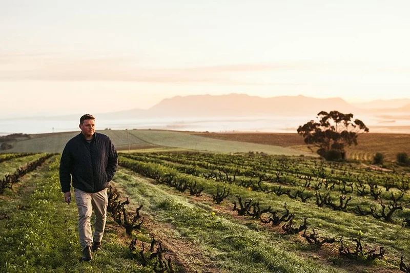 Western Cape Flotsam & Jetsam Cinsault - 2017 - Alheit Vineyards