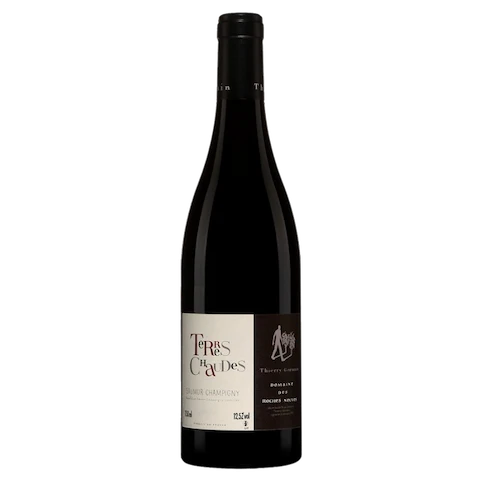 Saumur-Champigny Terres Chaudes - 2020 - Domaine des Roches Neuves