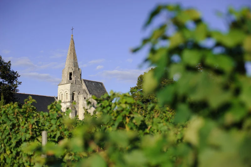 Saumur-Champigny Le Beaumeray - 2019 - Château Yvonne