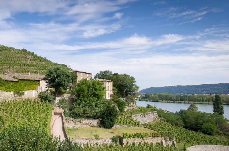 Côtes-du-Rhône - 2021 - Château Grillet