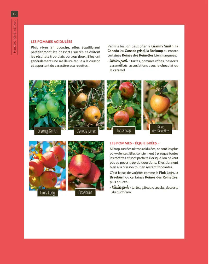 Fondantes, croquantes, sucrées, acidulées... Mes pommes d'amour
