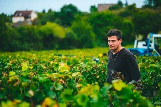 Rully 1er Cru Le Meix Cadot - 2021 - Domaine Dureuil-Janthial