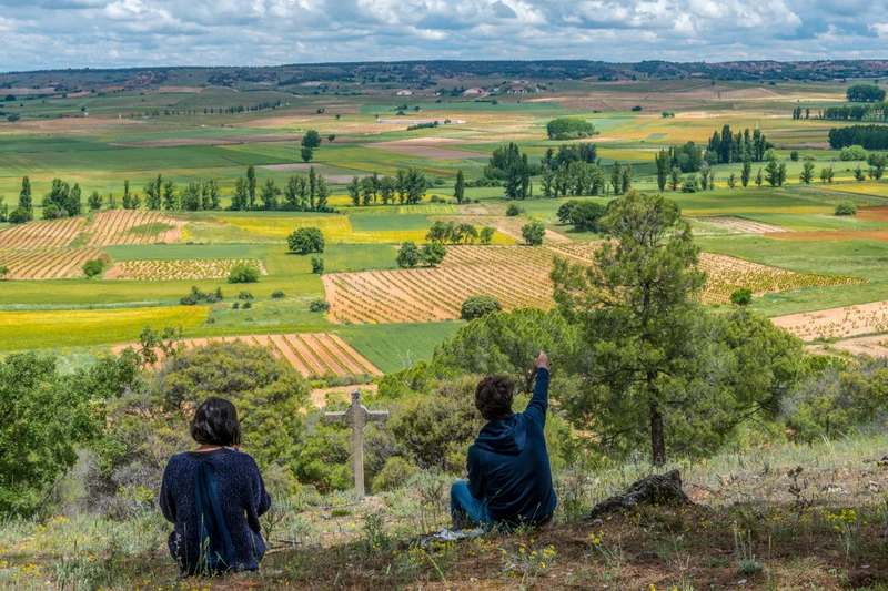 Ribera del Duero Picaro del Aguila Tinto - 2019 - Dominio del Aguila