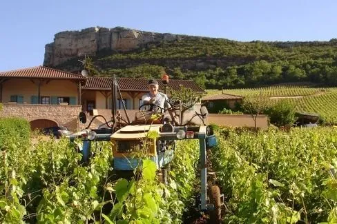 Pouilly-Fuissé En Buland - 2021 - Domaine Barraud