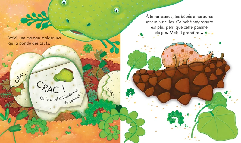Les dinosaures - Coucou ! - Dès 3 ans