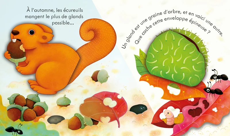 L'automne - Coucou ! - Dès 3 ans