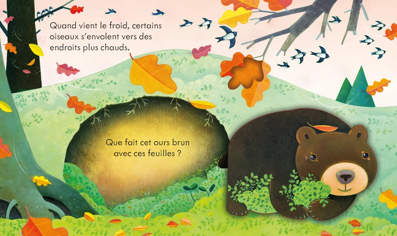 L'automne - Coucou ! - Dès 3 ans