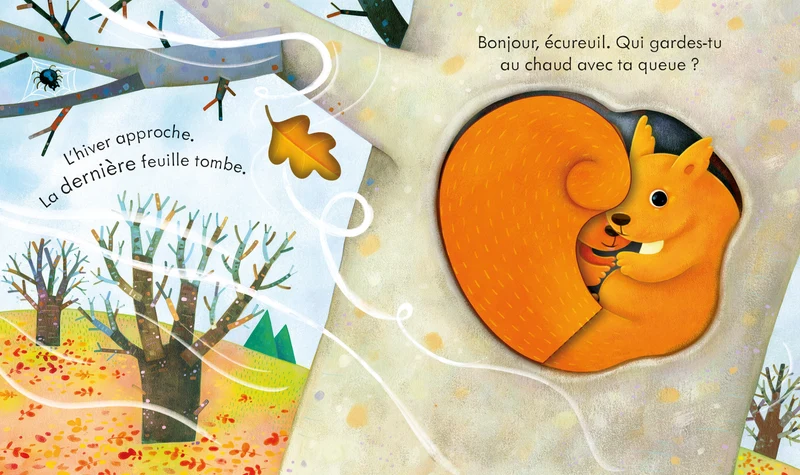 L'automne - Coucou ! - Dès 3 ans