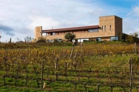 Côte-Rotie Bons Arrêts Monopole - 2020 - Domaine du Monteillet