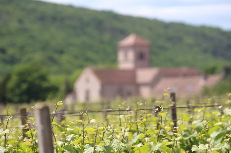 Ruchottes-Chambertin Grand Cru - 2018 - Domaine Marchand-Grillot