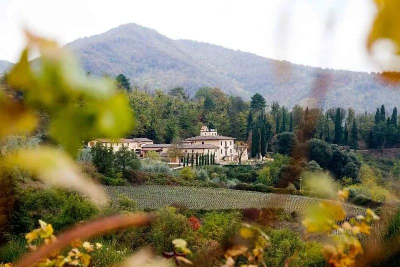 Rosso Toscano Tenuta la Novella Piano del Sarti - 2008 - Tenuta la Novella